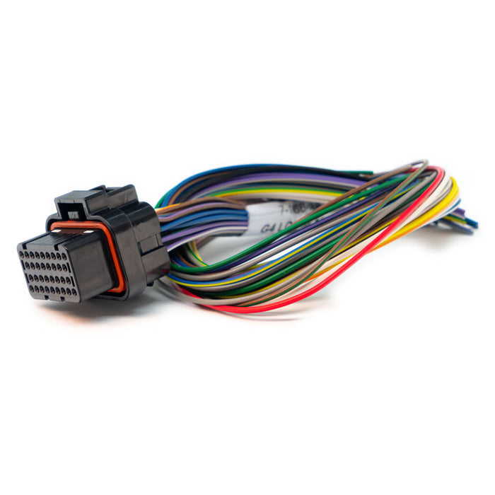 Link Engine Management B Loom Short (0LB)