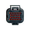 Link Engine Management Pin Kit E (TKE)