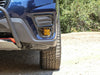 Rally Innovations Fog Light Conversion Subaru Forester straigh