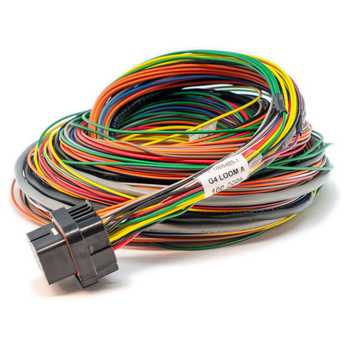 Link Engine Management A Loom Medium (2LA)
