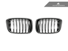 AutoTecknic Replacement Carbon Fiber Front Grille Set - BMW G01 X3 | G02 X4 Pre-LCI