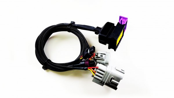 Delicious_Tuning_Flex_Fuel kit ecu