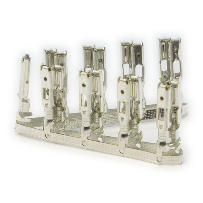 Link Engine Management Housing & Terminals (TK G1 LEM)