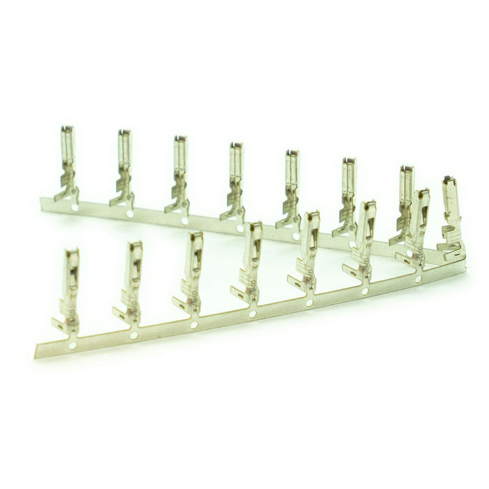 Link Engine Management Housing & Terminals (TK G3 Link Plus)