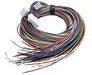 Link Engine Management Loom G1 / G2 LinkPlus X2ML