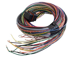 Link Engine Management A Loom Medium (2LA)