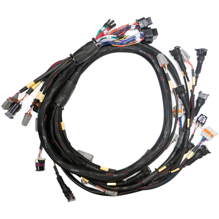 Link Engine Management Replacement Base Harness GM LS GEN3/4