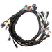 Link Engine Management Replacement Base Harness GM LS GEN3/4