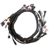 Link Engine Management Replacement Base Harness GM LS GEN3/4