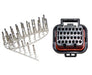 Link Engine Management Pin Kit D (TKD)