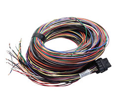 Link Engine Management Old G4 Atom & Lightning 5m (5LT)