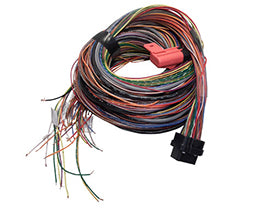 Link Engine Management A Loom Long (5LA)