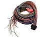 Link Engine Management A Loom Long (5LA)