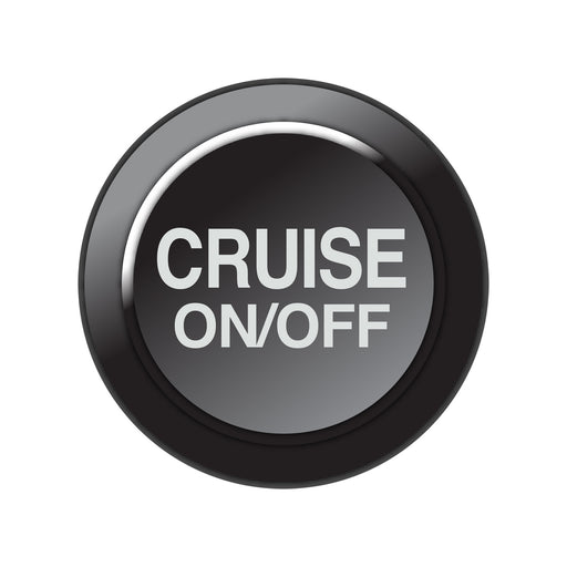 Link Engine Management CAN Keypad Insert - Cruise On/Off