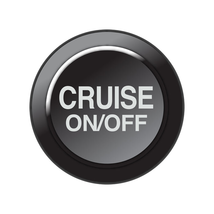 Link Engine Management CAN Keypad Insert - Cruise On/Off