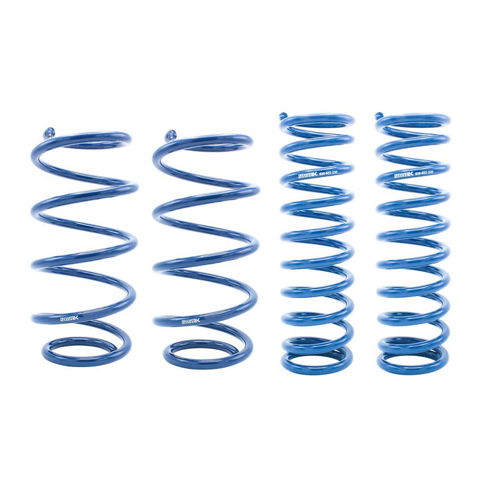Rallitek Rallitek 1" Lift Overload Spring Kit - Fits 2003-2006 Subaru Baja