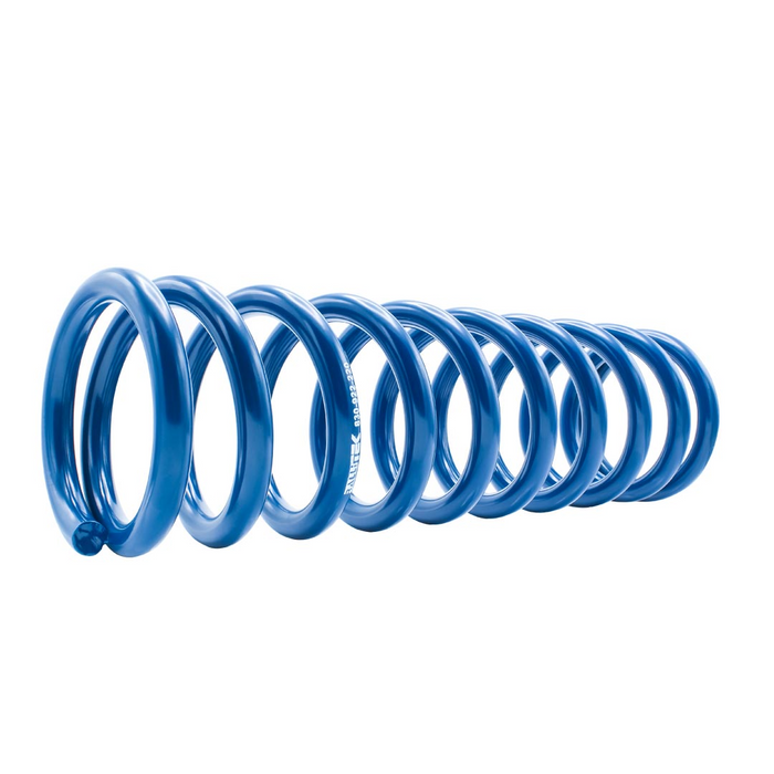 Rallitek Rallitek 1" Lift Overload Spring Kit - Fits 22-25 Subaru Outback Wilderness