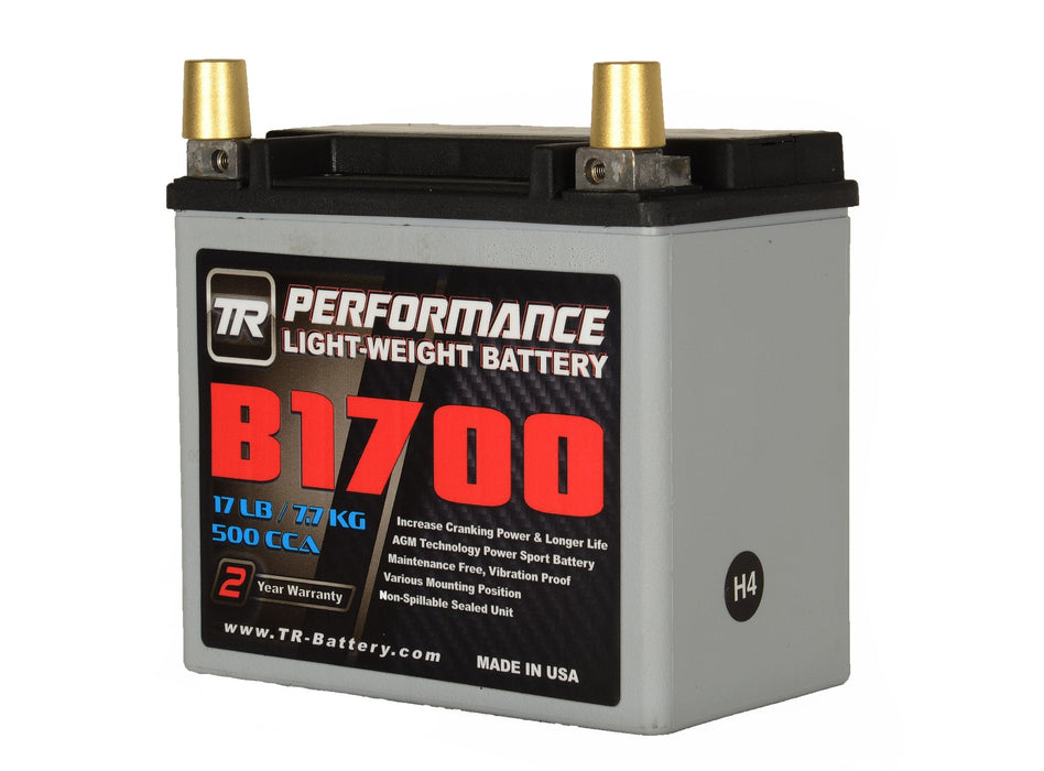 TR-B1700 17LBS AGM Lightweight Battery Street Use Race Use Track Use Universal Fit with Battery Tender (Optional)