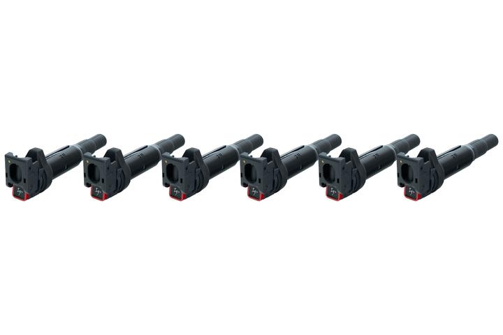 Ignition Projects Coil pack for BMW Variations 6-Pack